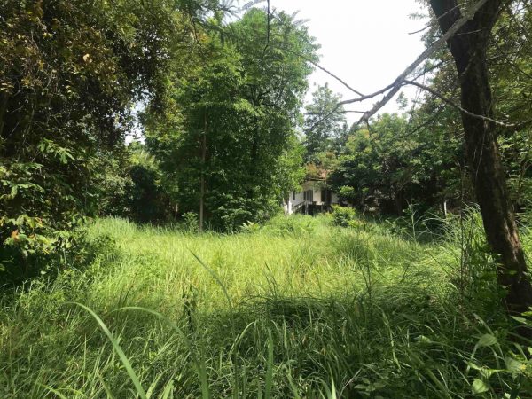 2.5 Rai With House To Renovate -land+villa-Nai Wok-koh-phangan-real-estate-development-investment-program-thailand-construction-building-villa-house-for-rent-for-sale-business-lease-hold
