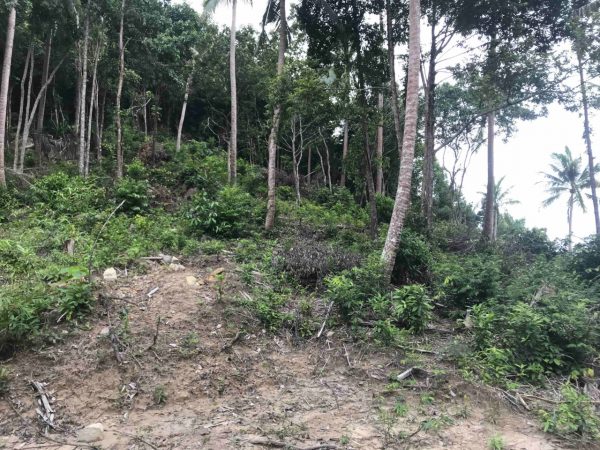 2 Rai Land With Very Beautiful Seaview-Land-Haad Yao-koh-phangan-real-estate-development-investment-program-thailand-construction-building-villa-house-for-rent-for-sale-business-lease-hold