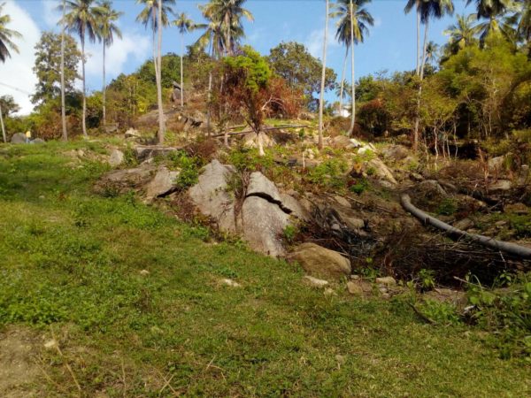 8 Rai With Sea View + Hill View-Land-Baan Kai-koh-phangan-real-estate-development-investment-program-thailand-construction-building-villa-house-for-rent-for-sale-business-lease-hold
