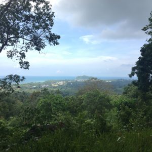 1.808 sqm With Breathtaking Seaview-Land-Baan Tai-koh-phangan-real-estate-development-investment-program-thailand-construction-building-villa-house-for-rent-for-sale-business-lease-hold