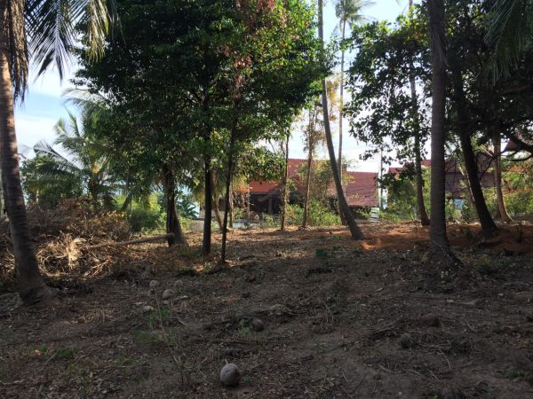 Phangan Development land for sale-1 Rai With Small Seaview - Nai Wok-koh-phangan-real-estate-development-investment-program-thailand-construction-building-villa-house-for-rent-for-sale-business-lease-hold