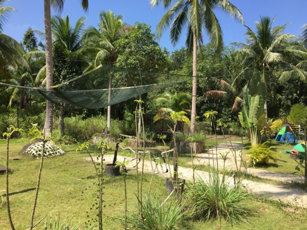 Phangan Development land for sale-1 Rai In A Quiet Area - Chalok Ban Kao-koh-phangan-real-estate-development-investment-program-thailand-construction-building-villa-house-for-rent-for-sale-business-lease-hold